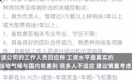 月薪4萬招人去非洲養雞?企業回應 真的是讓人大吃一驚