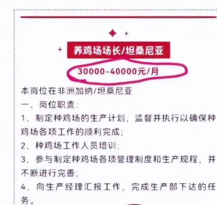 月薪4萬招人去非洲養(yǎng)雞?企業(yè)回應(yīng) 背后真相直接讓人目瞪口呆
