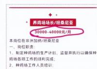 月薪4萬招人去非洲養雞?企業回應 背后真相直接讓人目瞪口呆