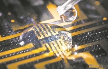 科學家在大腦中培育出電極 培養經過公布讓人太震撼了
