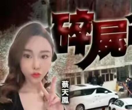 香港名媛碎尸案進(jìn)展:前夫潛逃時(shí)被抓 真相揭露真的令人大吃一驚