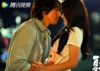 夏花何冉的結(jié)局是什么 夏花小說結(jié)局一樣嗎?