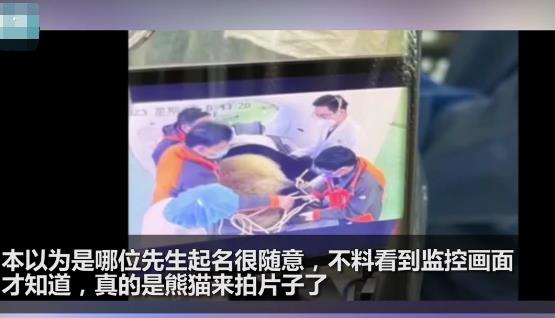 醫院有位患者叫熊貓是真熊貓 照片曝光直接讓人大呼意外