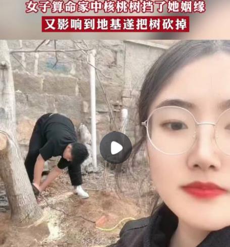 女子算命核桃樹擋姻緣家人將樹砍掉 真相揭露真的令人大吃一驚