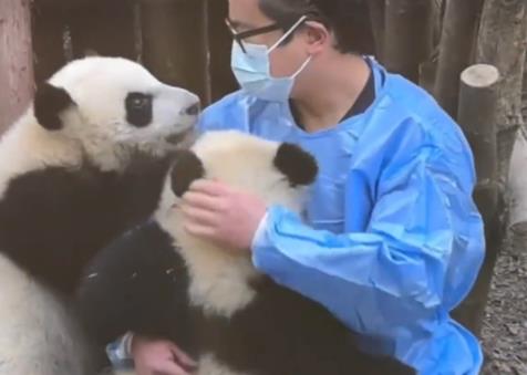 向熊貓福菀潑水3游客身份未確定 原因揭秘直接讓人傻眼了