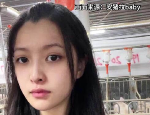 24歲高顏值女孩回應(yīng)大學(xué)畢業(yè)養(yǎng)豬 原因揭秘直接讓人傻眼了