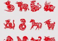 一虎不河打一生肖