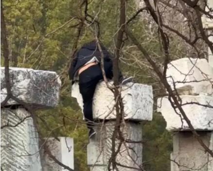 圓明園回應男子攀爬遺址拍照 具體事件經過是什么?