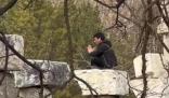 圓明園回應男子攀爬遺址拍照 具體事件經(jīng)過是什么?
