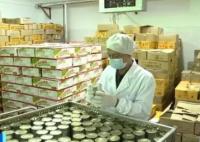 中國罐頭在海外多國熱銷 出貨量大幅增長市場明顯好轉