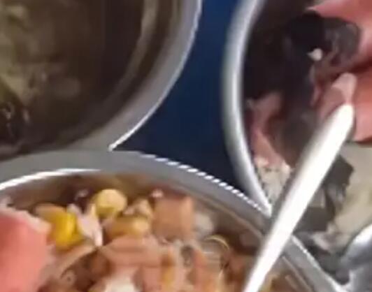 按倒點外賣學生校方食堂被曝菜餿 真相離譜實在是太荒唐了