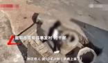 女孩將男孩扔井中:模仿電視劇情節(jié) 真相離奇讓人直呼太意外