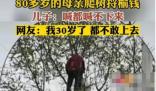 80多歲老太爬樹摘榆錢 喊都喊不下來 原因太出乎意料了