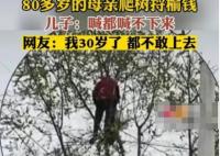 80多歲老太爬樹摘榆錢 喊都喊不下來 原因太出乎意料了