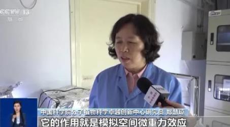 上天入地的太空種子這樣煉成 真相揭露真的令人大吃一驚