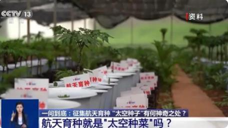 上天入地的太空種子這樣煉成 真相揭露真的令人大吃一驚