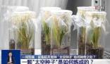 上天入地的太空種子這樣煉成 真相揭露真的令人大吃一驚