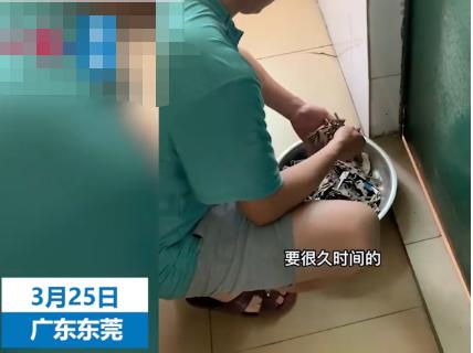 房東幫忙開門端來一盆鑰匙 真相揭露真的令人大吃一驚