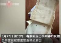 女子在衛生巾中發現大量發黑蟲卵 真相曝光簡直太驚人了
