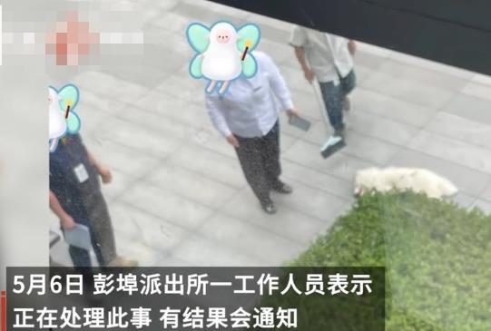 派出所回應杭州高空扔狗事件 照片曝光直接讓人大呼意外