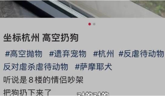 派出所回應杭州高空扔狗事件 照片曝光直接讓人大呼意外