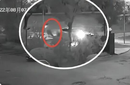 男子無證酒駕撞人拋尸 真相曝光簡直太驚人了