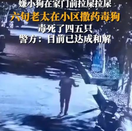 女子疑在小區(qū)內(nèi)撒藥致多條狗死亡 原因竟是這樣實(shí)在是太意外了