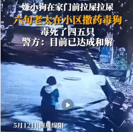 女子疑在小區內撒藥致多條狗死亡 真相曝光簡直太驚人了