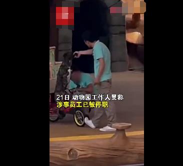 動物園回應(yīng)員工呵斥抽打小狗 小狗受皮外傷已處理
