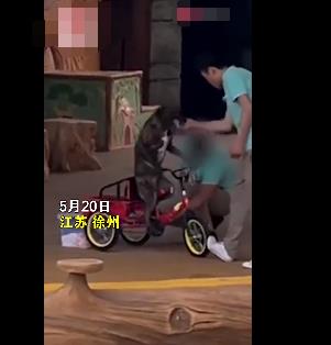 動(dòng)物園回應(yīng)員工呵斥抽打小狗 小狗受皮外傷已處理