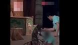 動物園回應員工呵斥抽打小狗 小狗受皮外傷已處理