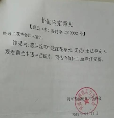 農婦掐走兩枝蘭花被判三緩四 花主稱農婦致其損失20萬元
