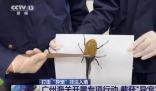 這些非法入境“異寵”隱患多 原因竟是這樣太恐怖了