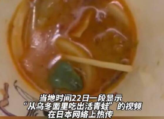 烏冬面里吃出活青蛙 日連鎖店道歉 對此表示深深的歉意