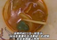 烏冬面里吃出活青蛙 日連鎖店道歉 顧客產生很大的擔心和困擾