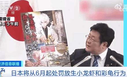 日本6月起禁止出售或放生小龍蝦 稱已嚴重影響日本生態系統