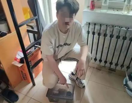 大學生網(wǎng)購零食放蟲子敲詐40多次 到底是什么情況?
