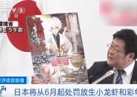 日本6月起禁止出售或放生小龍蝦 稱已嚴(yán)重影響日本生態(tài)系統(tǒng)