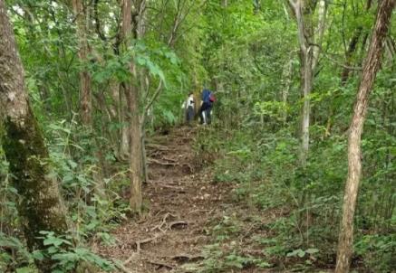 驢友爬山遭雷擊:直挺倒下全身麻木 原因竟是這樣實在是太意外了