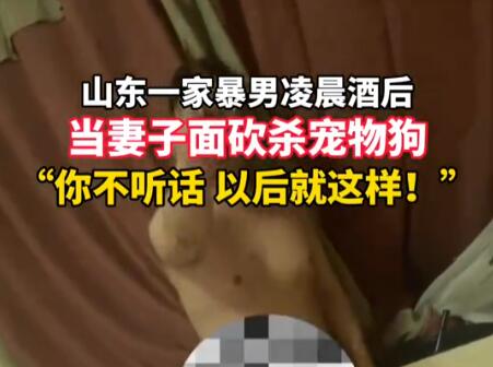 家暴男被指當妻子面砍殺寵物狗 究竟是怎么回事？