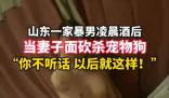 柯基被砍 女子:丈夫說坐牢也不離婚 婚前很溫柔和善