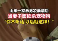 家暴男被指當妻子面砍殺寵物狗 究竟是怎么回事？