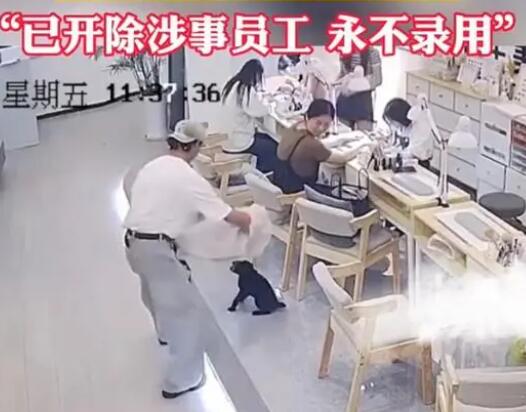 小狗進入美發店被店員裝麻袋摔死 狠狠地摔在地上太嚇人
