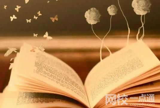 2022成都大學錄取分數線(2022年高考所有專業一覽表參考)