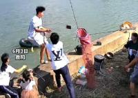 男子掉入魚塘前緊急扔出手機(jī) 真相曝光簡直太驚人了