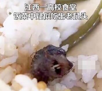 高校鼠頭涉事窗口幾乎沒人去吃飯 真相曝光簡直太驚人了