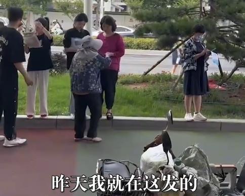開考前大媽在考點發復讀廣告