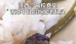 高校鼠頭涉事窗口幾乎沒人去吃飯 真相曝光簡直太驚人了