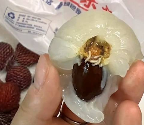 胖東來荔枝打開全是蟲子 原因竟是這樣太崩潰了