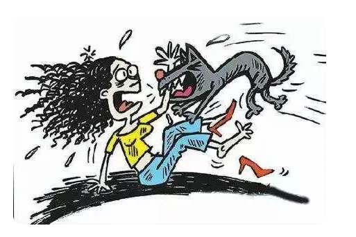 學校回應校內數只大型犬咬傷學生 始料未及真相簡直太意外了